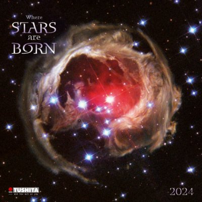 Where Stars are Born 2024 – Zboží Mobilmania