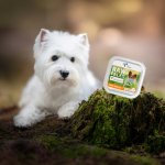 Vetexpert Raw Paleo Adult Mini Pate turkey 150 g – Zboží Mobilmania