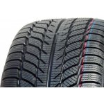 Goodride SW608 205/55 R16 91H | Zboží Auto