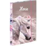 Karton P+P A4 Jumbo Kůň Romantic 5-71019 – Hledejceny.cz