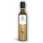 Green idea Yzop třtinový sirup 250 ml – Hledejceny.cz