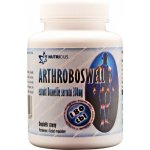 Nutricius Arthroboswell 180 tablet – Hledejceny.cz