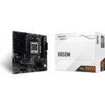 Biostar B850MT2-E – Hledejceny.cz