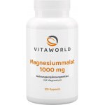 Vitaworld Magnesium Malate 1000 mg 120 Kapslí – Hledejceny.cz