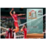Skleněná trofej na dřevěném podstavci Volejbal 17 cm – Hledejceny.cz