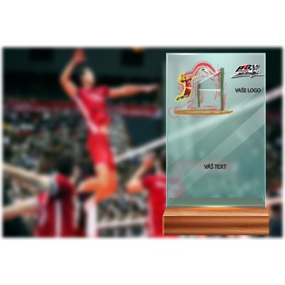 Skleněná trofej na dřevěném podstavci Volejbal 17 cm – Hledejceny.cz
