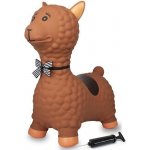 Meteor jumping ball 65 cm with – Zbozi.Blesk.cz