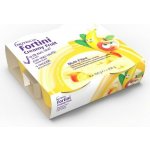 FORTINI CREAMY FRUIT MULTI FIBRE LETNÍ OVOCE POR SOL 4X100G – Hledejceny.cz