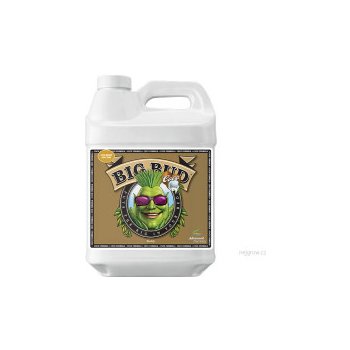 Advanced Nutrients Big Bud Coco Liquid 500 ml