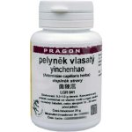 Sinecura Pelyněk vlasatý Yinchenhao extrakt 20 g – Hledejceny.cz