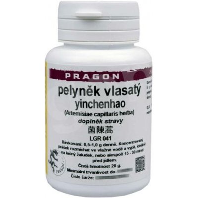Sinecura Pelyněk vlasatý Yinchenhao extrakt 20 g – Hledejceny.cz