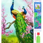 Norimpex Diamantové malování Pávi 30 x 40 cm – Sleviste.cz