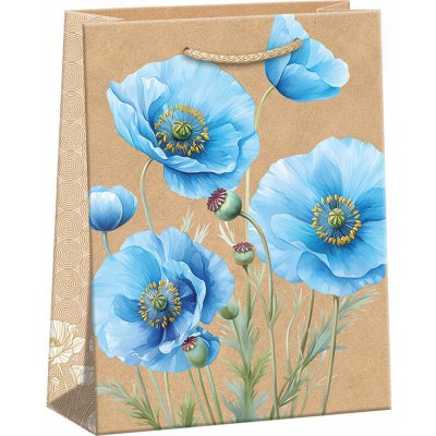 ARGUS Dárková papírová taška (18.3 x 24.3 cm) 07440150 – Zboží Živě