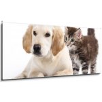 Obraz 1D panorama - 120 x 50 cm - Cat and dog Kočka a pes – Zboží Mobilmania