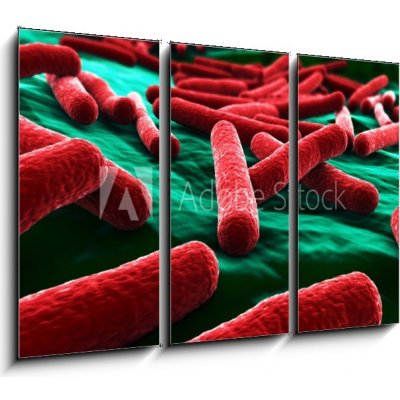 Obraz 3D třídílný - 105 x 70 cm - E coli Bacteria close up Bakterie E coli zblízka – Zbozi.Blesk.cz