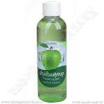 ShishaSyrup Melasa Ledové jablko 100 ml – Hledejceny.cz
