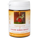 TCM Herbs Lingzhi Kořen života 200 Ganoderma 30 g práškového extraktu – Hledejceny.cz