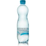 Aquila Aqualinea neperlivá 0,5l – Zboží Mobilmania