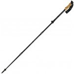 Fizan RFP Trek – Sleviste.cz