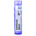 ARSENICUM ALBUM POR 30CH GRA 1X4G – Hledejceny.cz