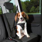 Trixie Dog Protect postroj do auta – Hledejceny.cz