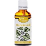 Serafin Morušovník tinktura z pupenů 50 ml – Hledejceny.cz