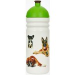 Zdravá lahev Psi 700 ml – Zboží Dáma