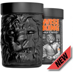 Zoomad Labs WiseKing Joint & Antiox silk orange 390 g