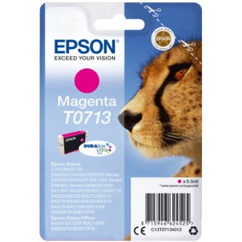 Epson 13T02G14010 - originální