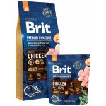 Brit Premium by Nature Adult M 18 kg – Hledejceny.cz