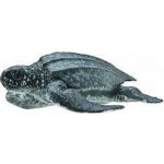 Collecta Kožatka velká – Zboží Dáma