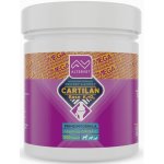 Altervet Cartilan Base K2+D3 Mega 555 g 300 tbl – Zboží Mobilmania