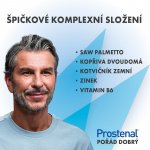 Prostenal CONTROL 30 tablet – Hledejceny.cz