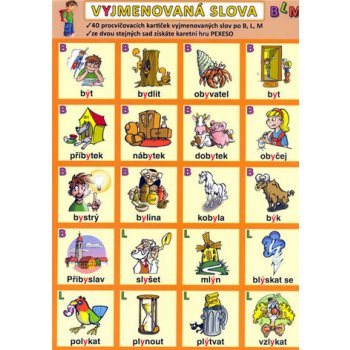 VYJMENOVANÁ SLOVA - BLM - Kupka Petr a kolektiv