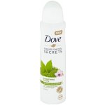 Dove Nourishing Secrets Matcha & Sakura deospray 150 ml – Zbozi.Blesk.cz