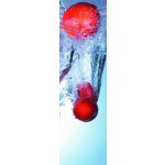 Záložka - Fruits in Motion – Hledejceny.cz