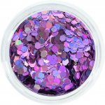 Aglia EXTREME TULIP HOLOGRAM glitry na nehty 1 g – Hledejceny.cz