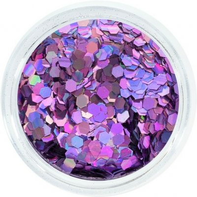 Aglia EXTREME TULIP HOLOGRAM glitry na nehty 1 g – Hledejceny.cz
