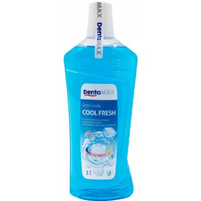Dentamax Cool Fresh 1 l – Zboží Mobilmania