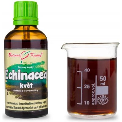 Pavlovy bylinné kapky Echinacea purpurea květ tinktura 50 ml – Hledejceny.cz