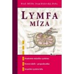 Lymfa míza - Ivan Dylevský – Hledejceny.cz