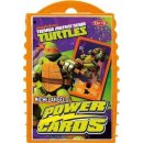 Power cards: Michelangelo