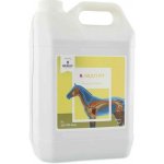 RESULT EQUINE R Multi Vit 1 l – Hledejceny.cz