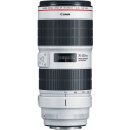 Canon EF 70-200mm f/2.8 L IS III USM