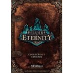 Pillars of Eternity (Champion Edition) – Hledejceny.cz