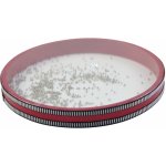 Dimavery Ocean Drum malý – Sleviste.cz