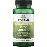 Swanson Rhodiola Ashwagandha a Ginseng Complex 60 kapslí – Hledejceny.cz