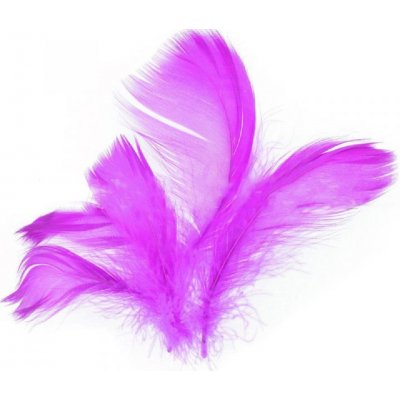 Peří v sáčku 10g fialové – Zboží Dáma