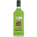 TUNEL ABSINTH GREEN 70% 0,7 l (holá láhev) – Zboží Dáma
