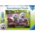 Ravensburger Oddych štěňata v kufru 100 dílků – Zboží Dáma